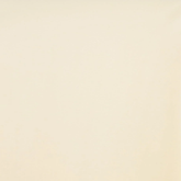 Classic Sand Beige-100% Cotton Broadcloth—High-Quality—Multi-Purpose—Sold by The Yard—Nationwide Shipping